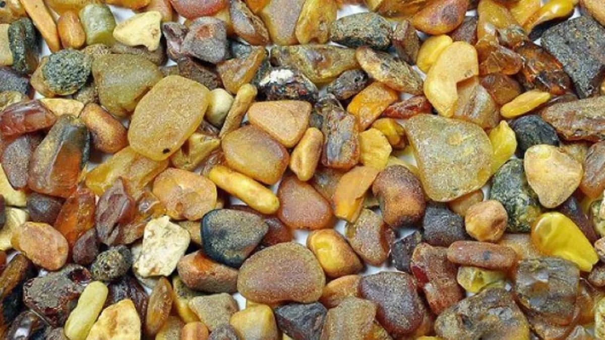 Янтарный бизнес в Украине: легально или нет?